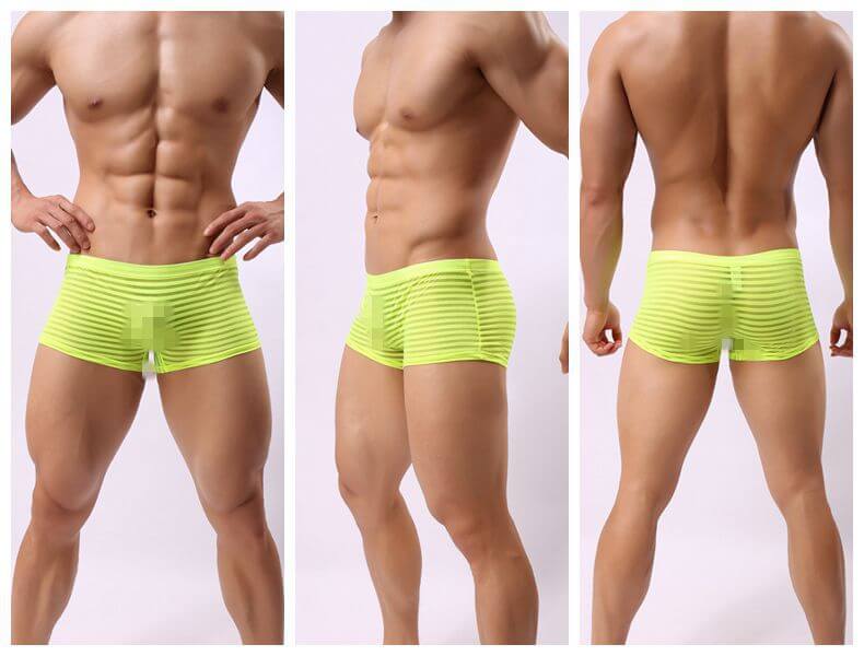 Striped See Through Shorts