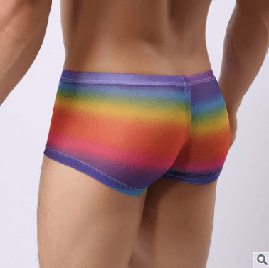 Mesh Rainbow Boxer Briefs