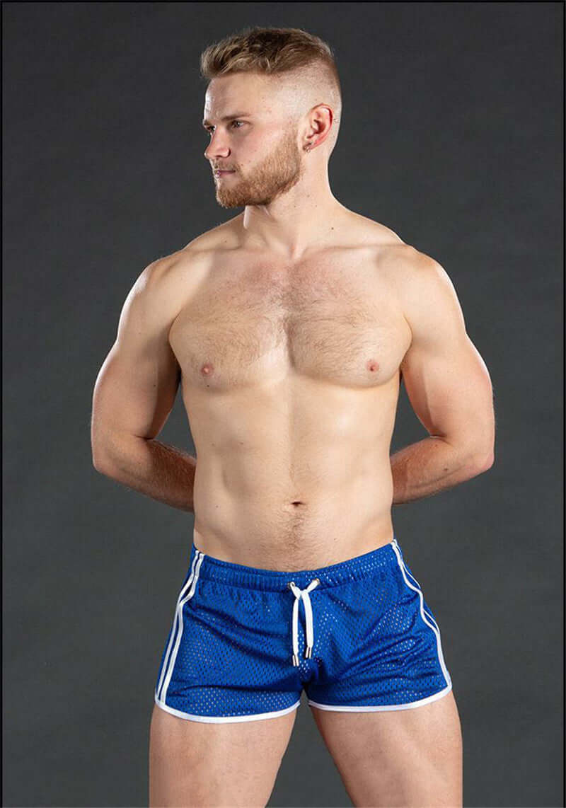 Mesh Hoochie Daddy Shorts