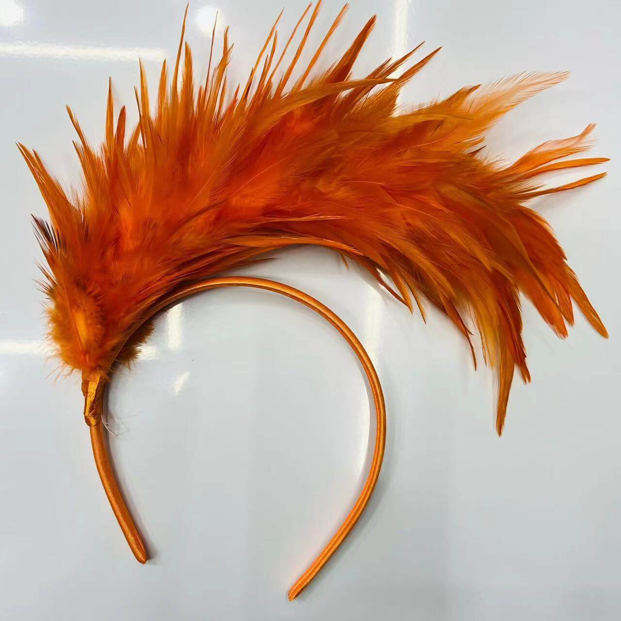 Feather Headbands