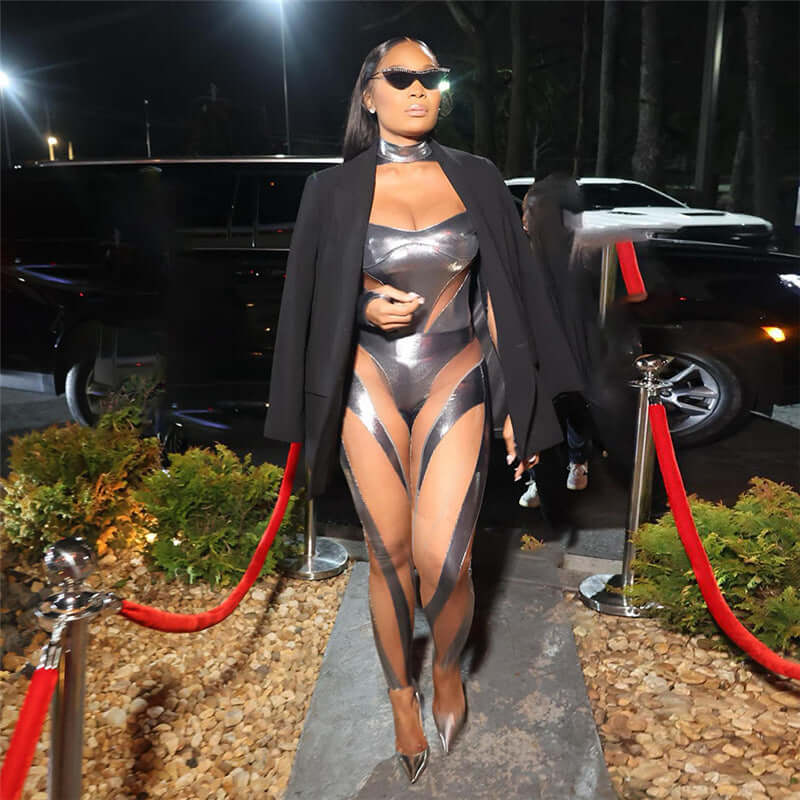 Metallic Mesh Panel Set Or Bodysuit