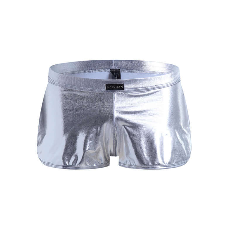 Metallic Shorts