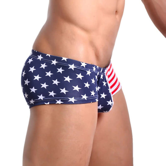 Flag printed Swim Brief
