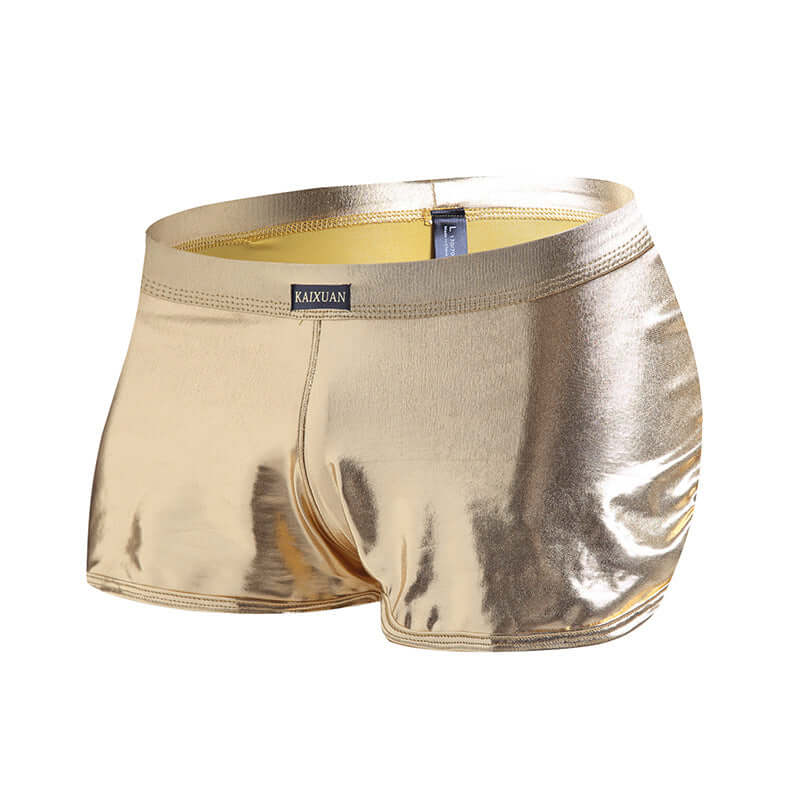 Metallic Shorts
