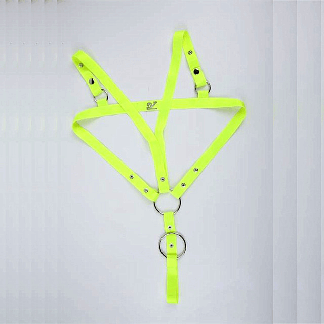 Chest Harness with C Ring