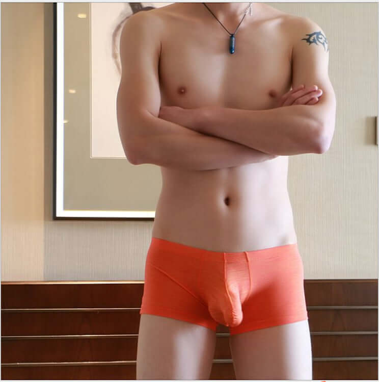 Show It Off Brief