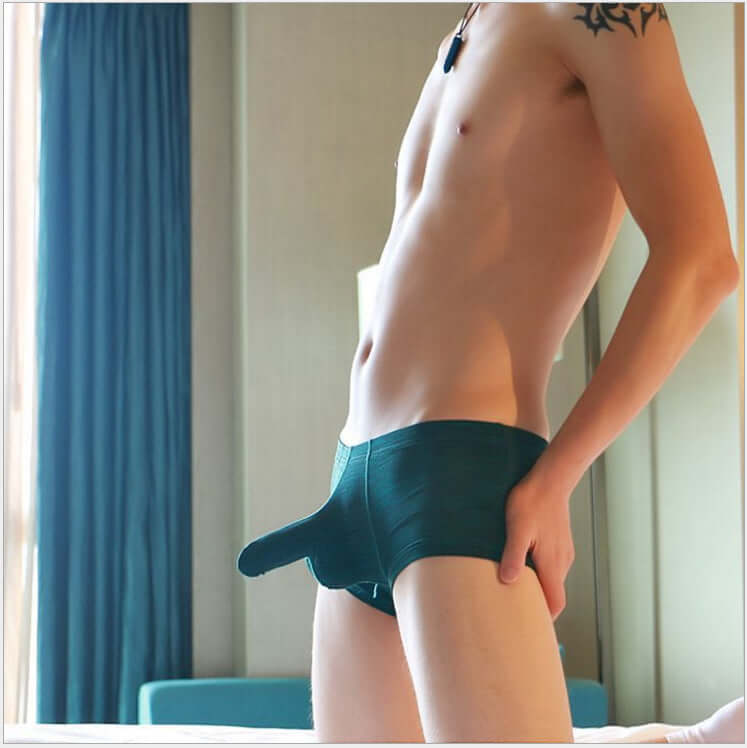 Show It Off Brief