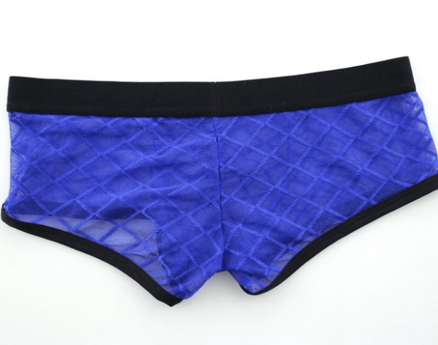 Mesh Boxer Brief