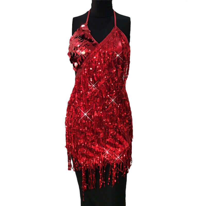 Show Sequin Fringed Dress