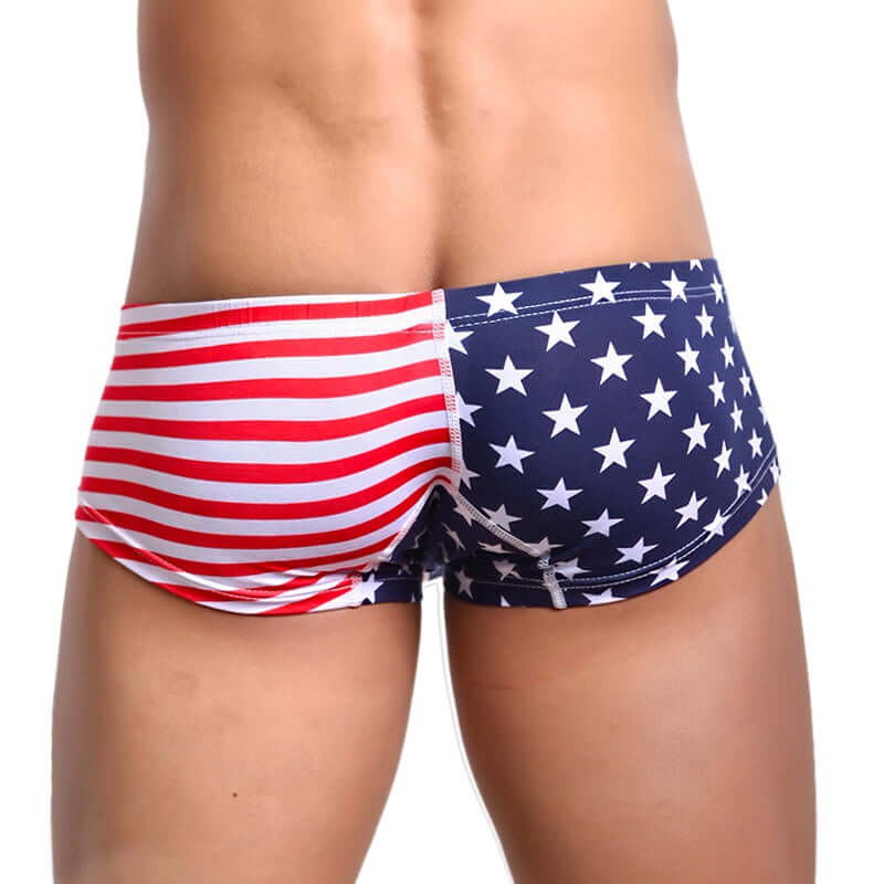 Flag printed Swim Brief