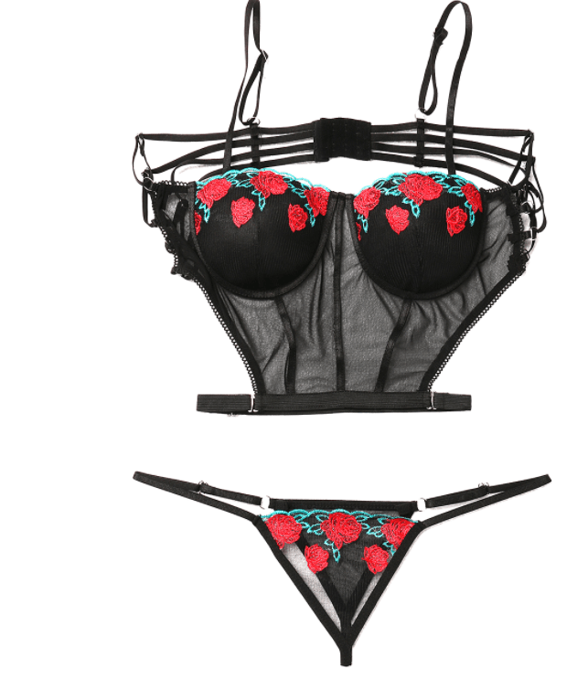 Floral Embroidered Lingerie Set
