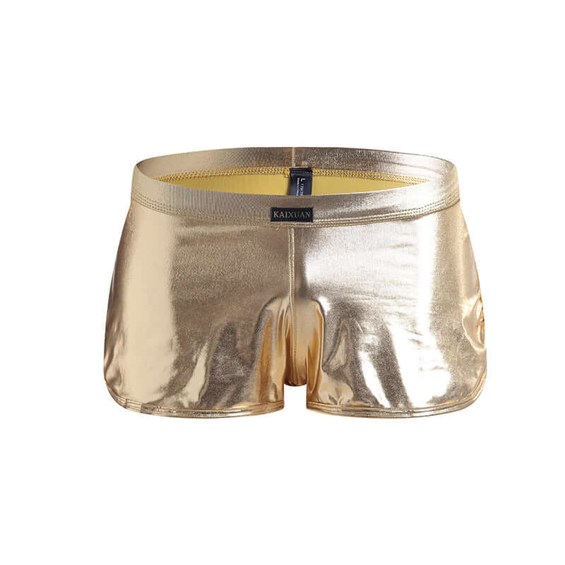 Metallic Shorts