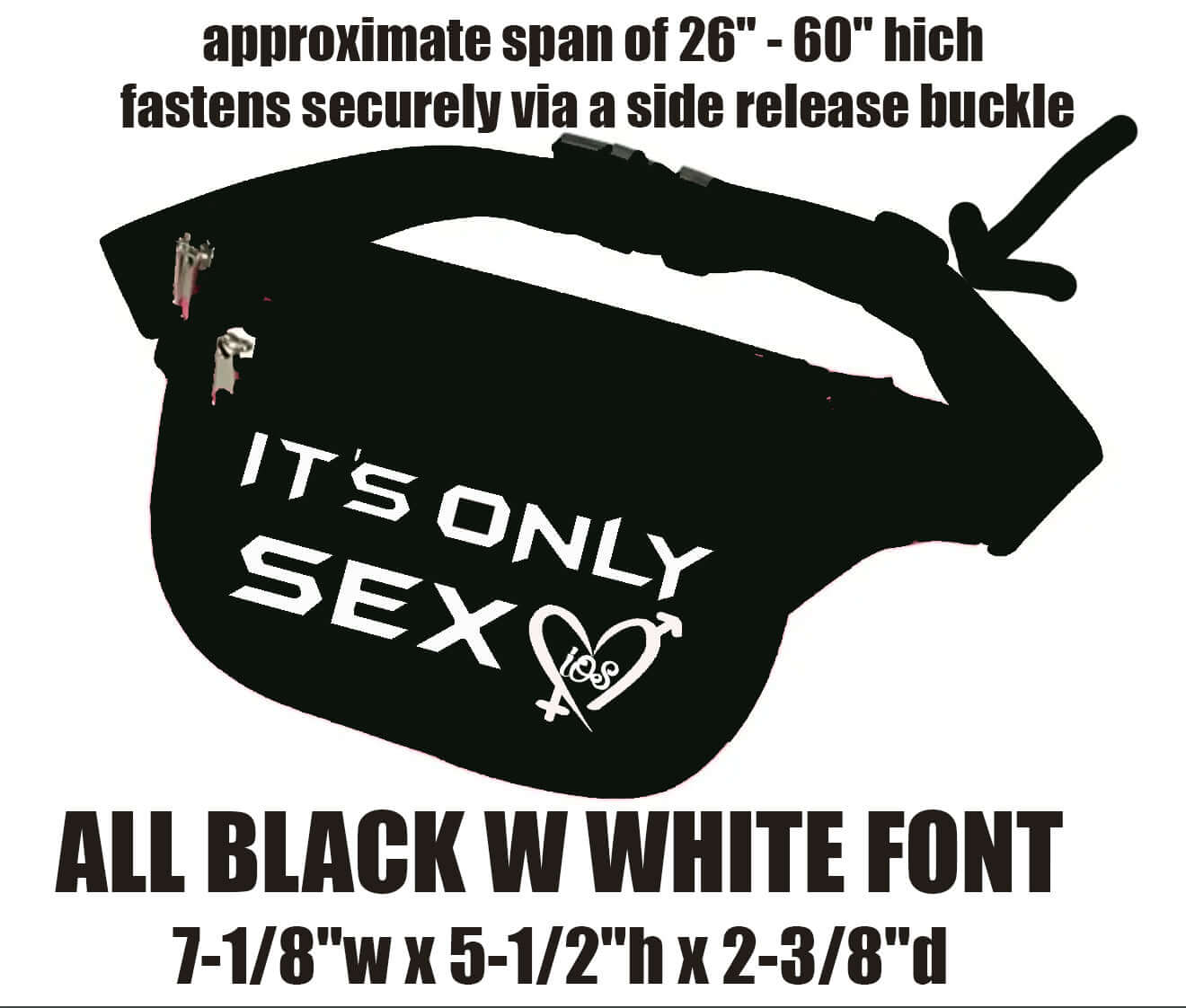 Its Only Sex Fanny