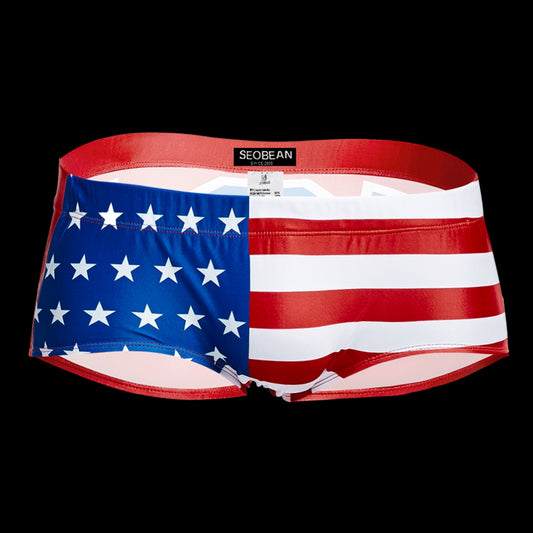 American Flag Swim Shorts