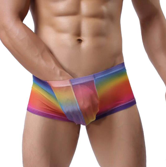 Mesh Rainbow Boxer Briefs