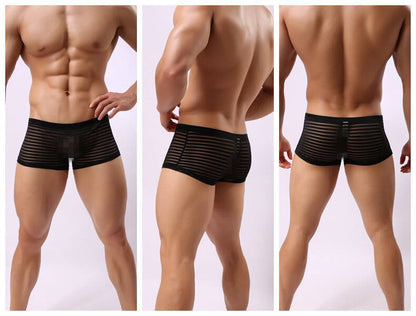 Striped See Through Shorts