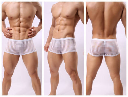 Striped See Through Shorts