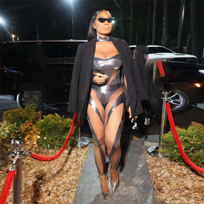 Metallic Mesh Panel Set Or Bodysuit