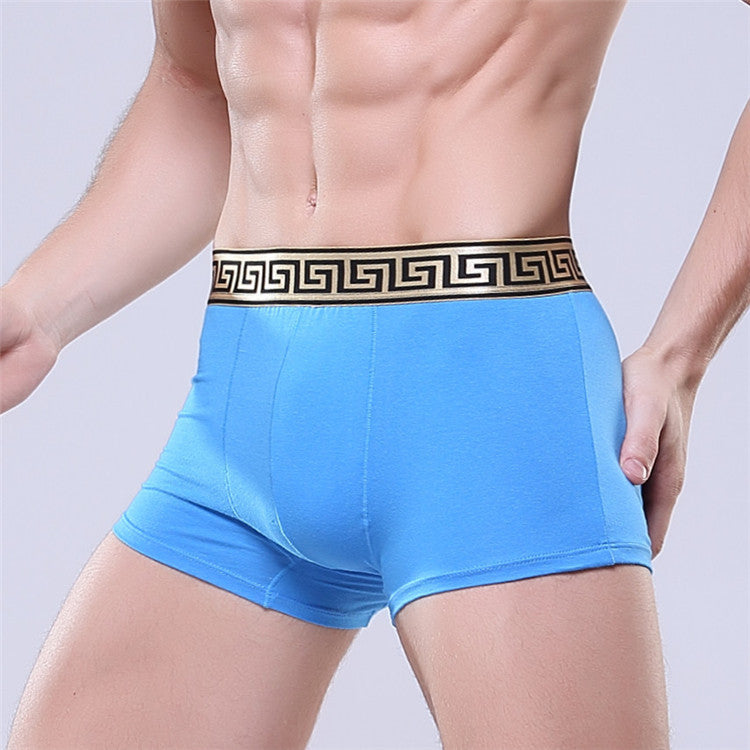 Men's Golden Trim Boxer Brief