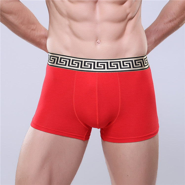 Men's Golden Trim Boxer Brief