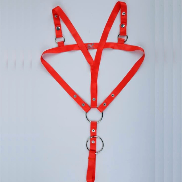 Chest Harness with C Ring