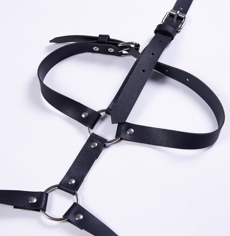 Hip and Thigh Harness