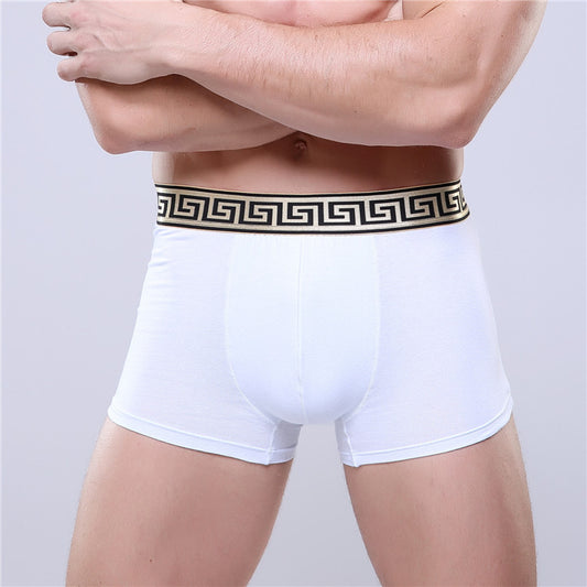 Men's Golden Trim Boxer Brief