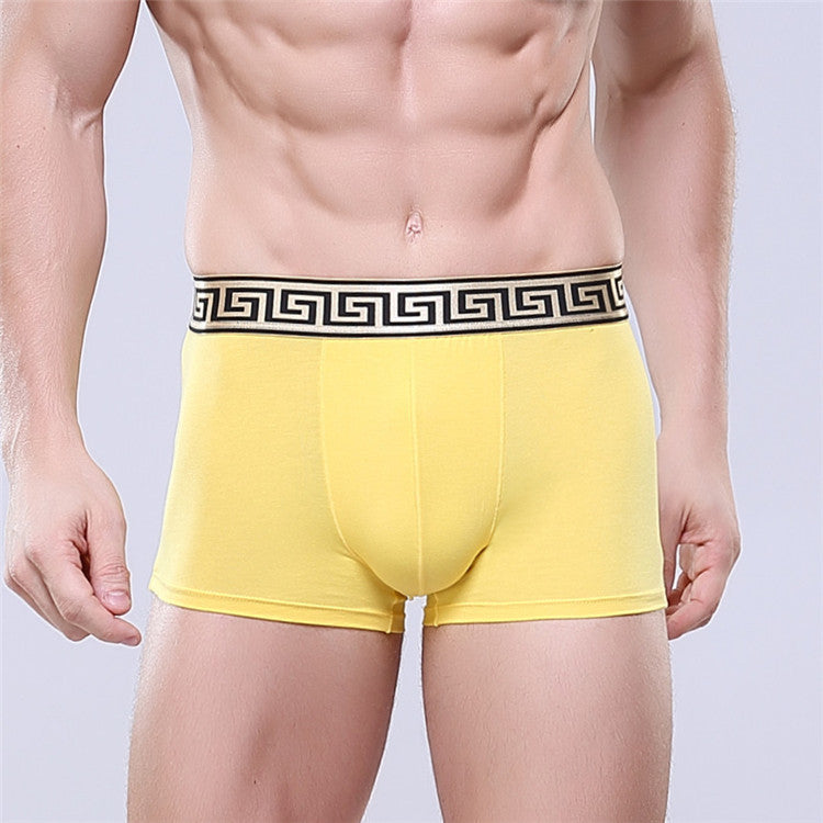 Men's Golden Trim Boxer Brief