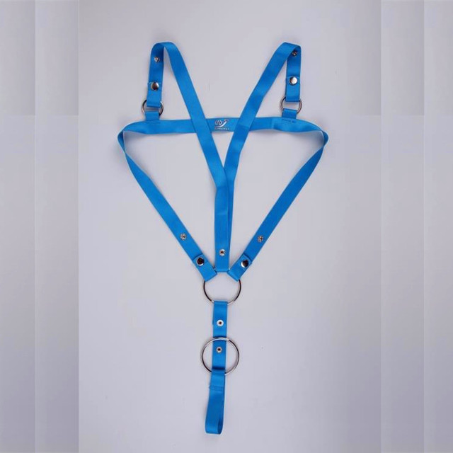 Chest Harness with C Ring