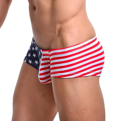 Flag printed Swim Brief
