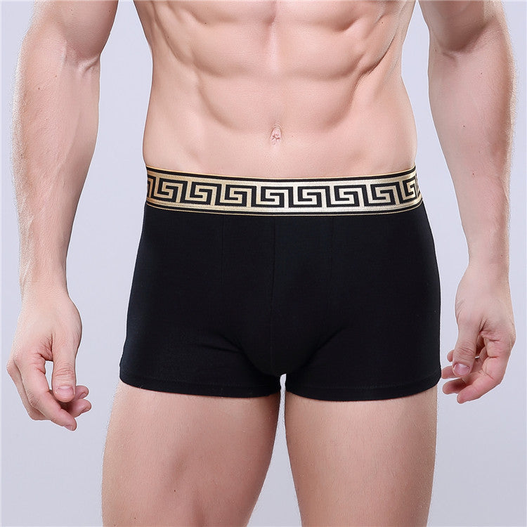 Men's Golden Trim Boxer Brief