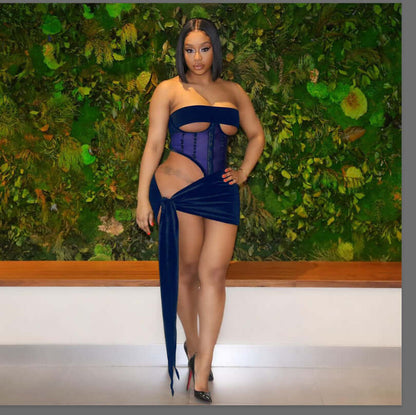 Women's Mesh Midsection Dress
