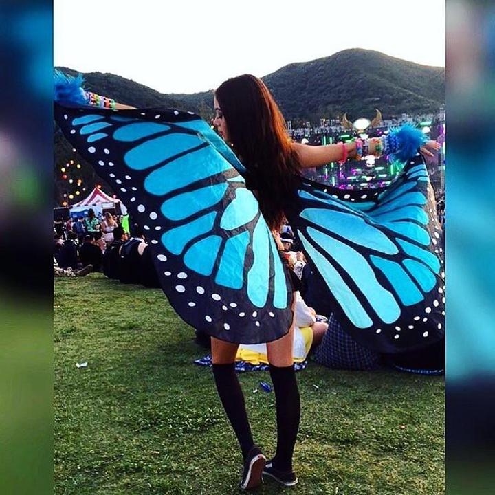 Butterfly Wings