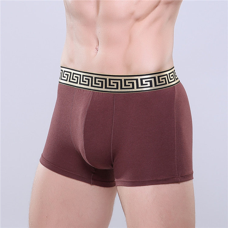 Men's Golden Trim Boxer Brief