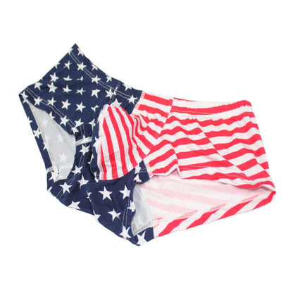 Flag printed Swim Brief