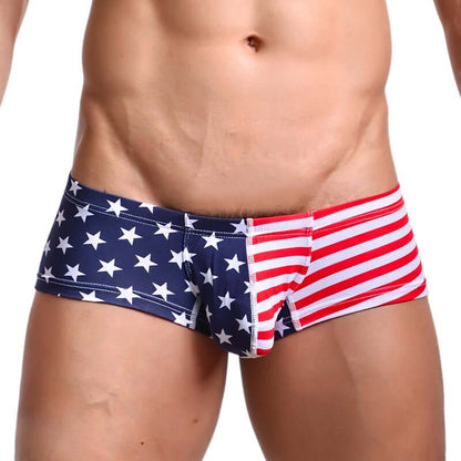 Flag printed Swim Brief