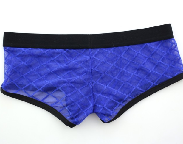 Mesh Boxer Brief