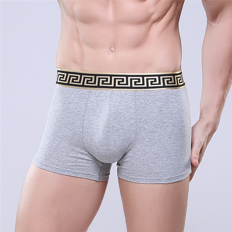 Men's Golden Trim Boxer Brief