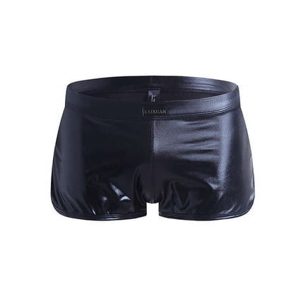 Metallic Shorts