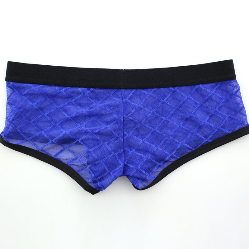 Mesh Boxer Brief