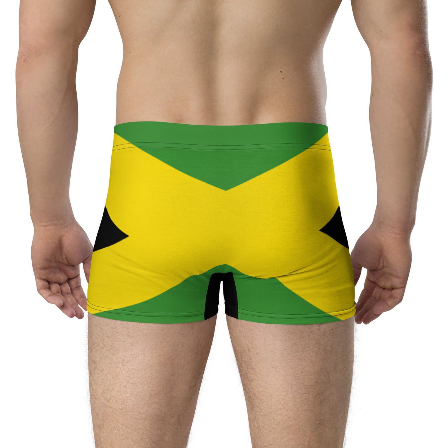 Jamaican Me Horny Briefs