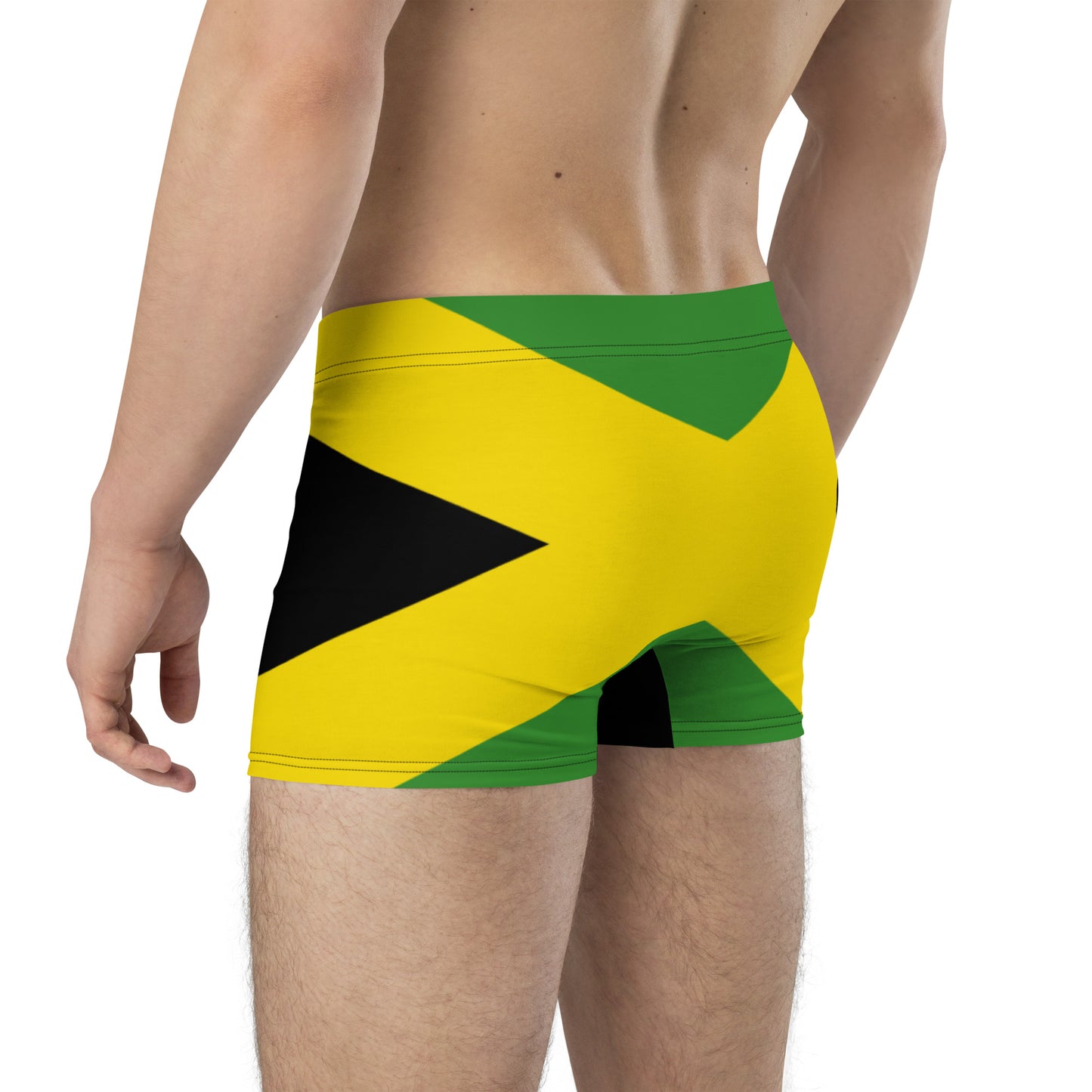 Jamaican Me Horny Briefs