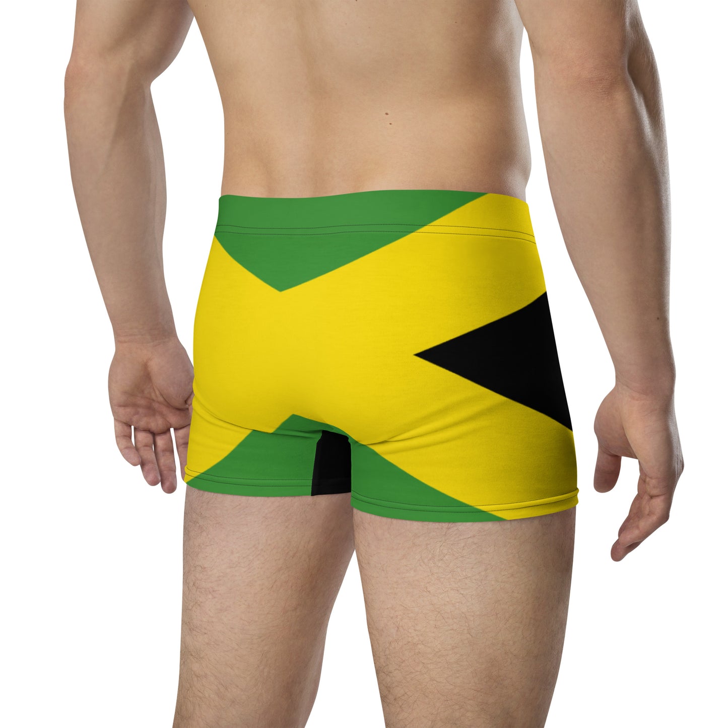 Jamaican Me Horny Briefs